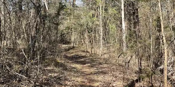 53 Caney Branch Spur Road