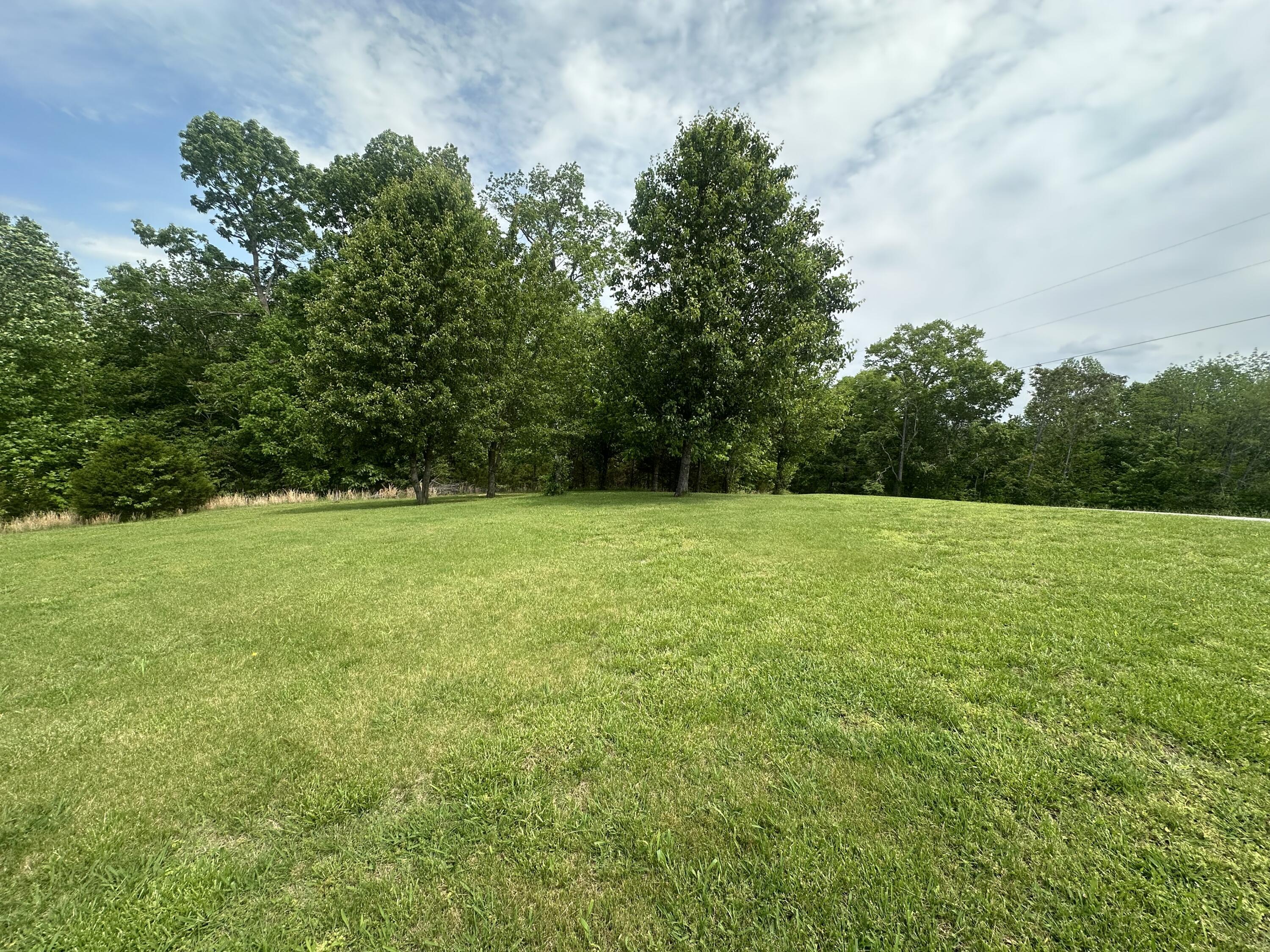 Image 3: IMG_0477