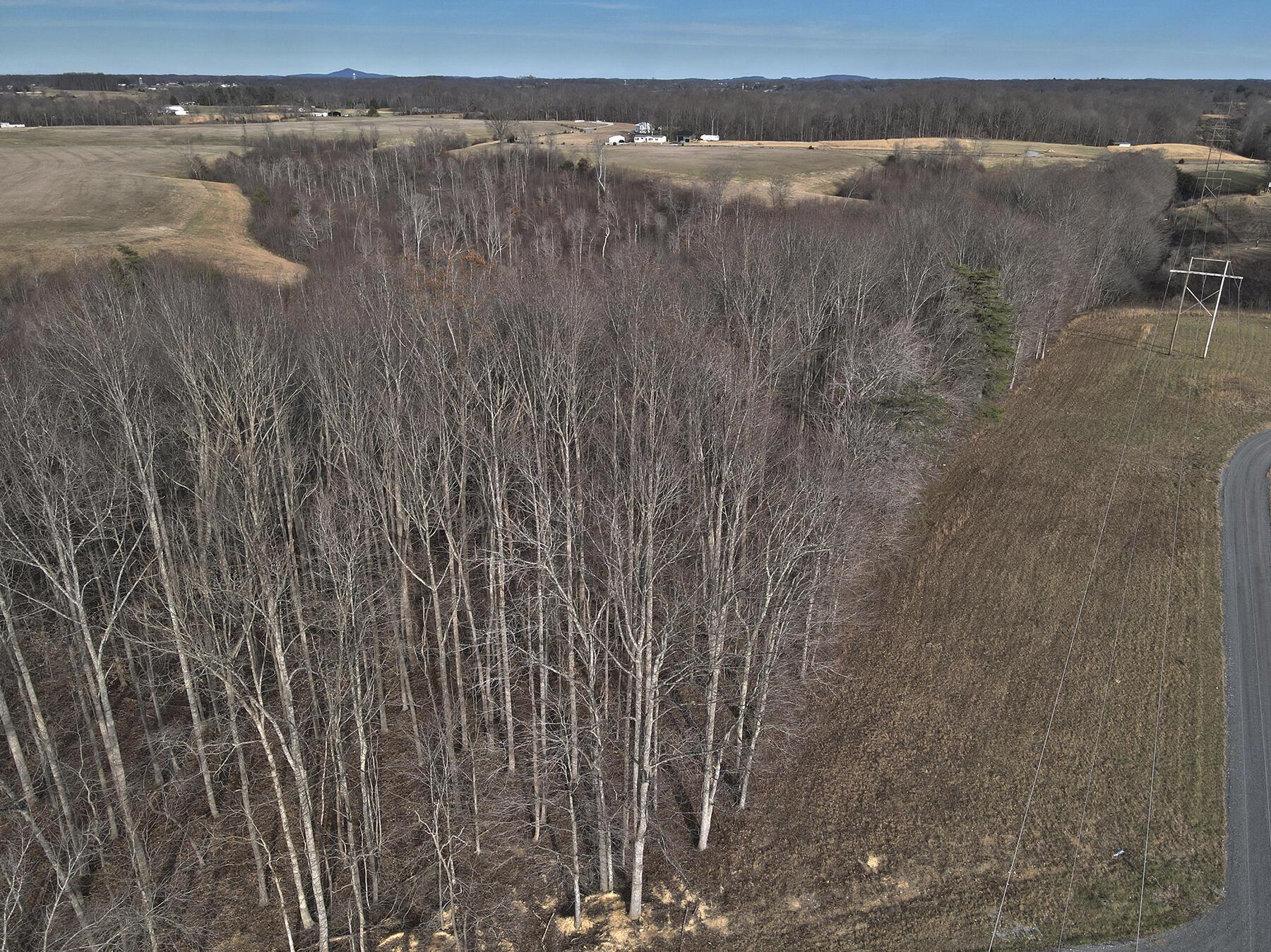 Image 1: Lakeridge_Est.044