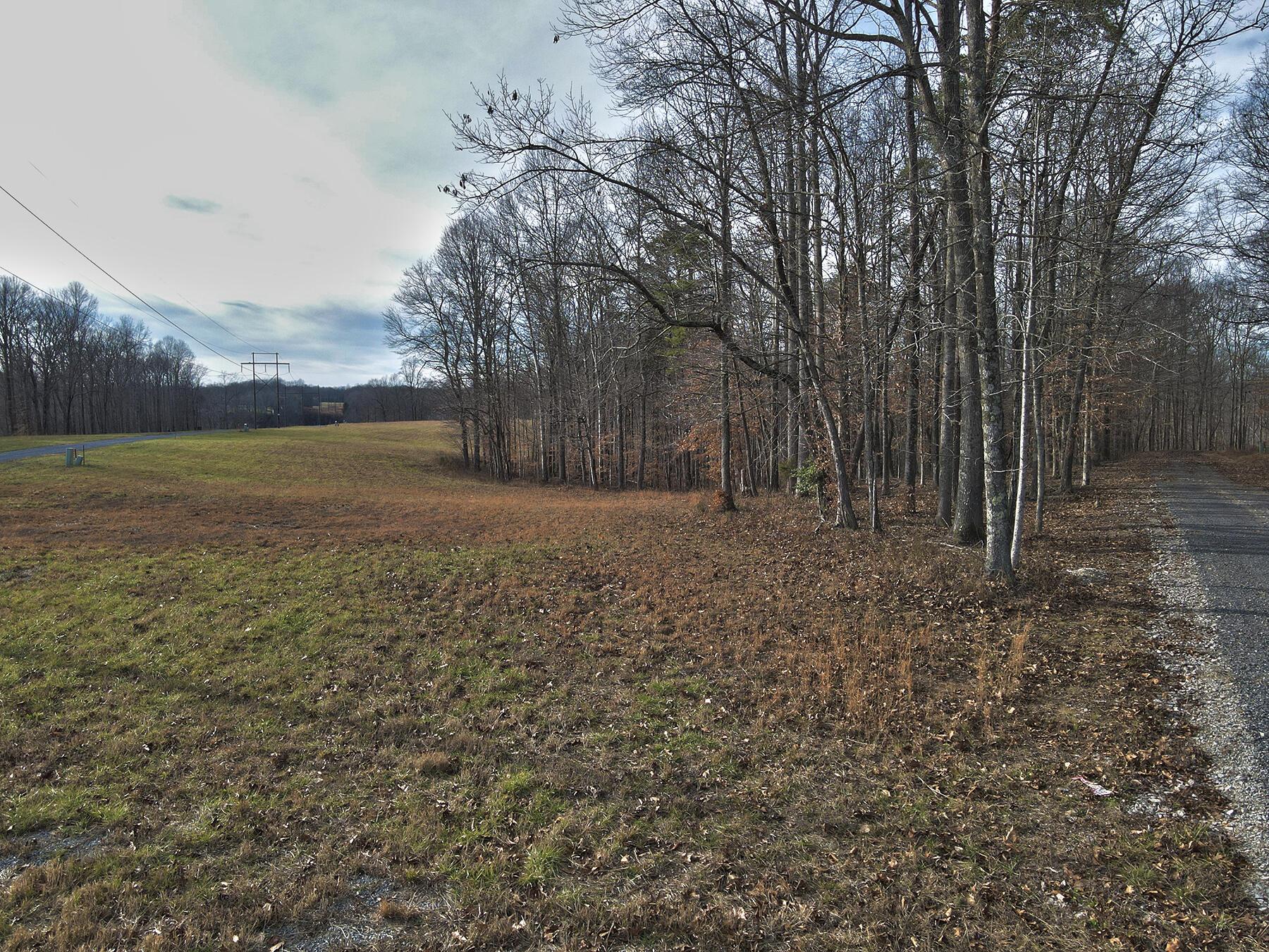 Image 2: Lakeridge_Est.033