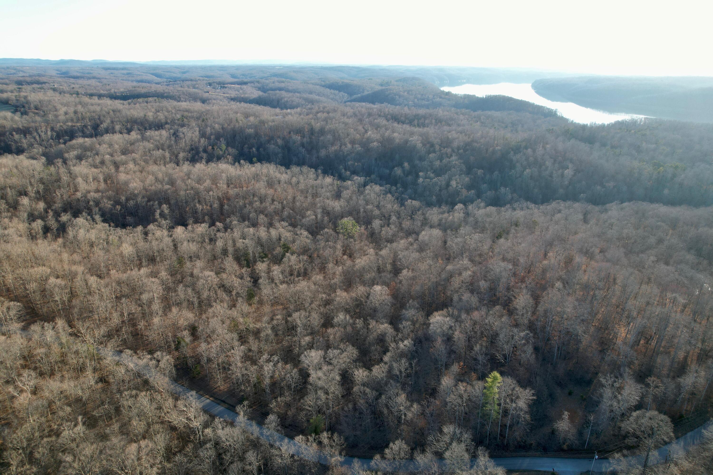 Image 4: dji_fly_20260227_173344_554_177223213362