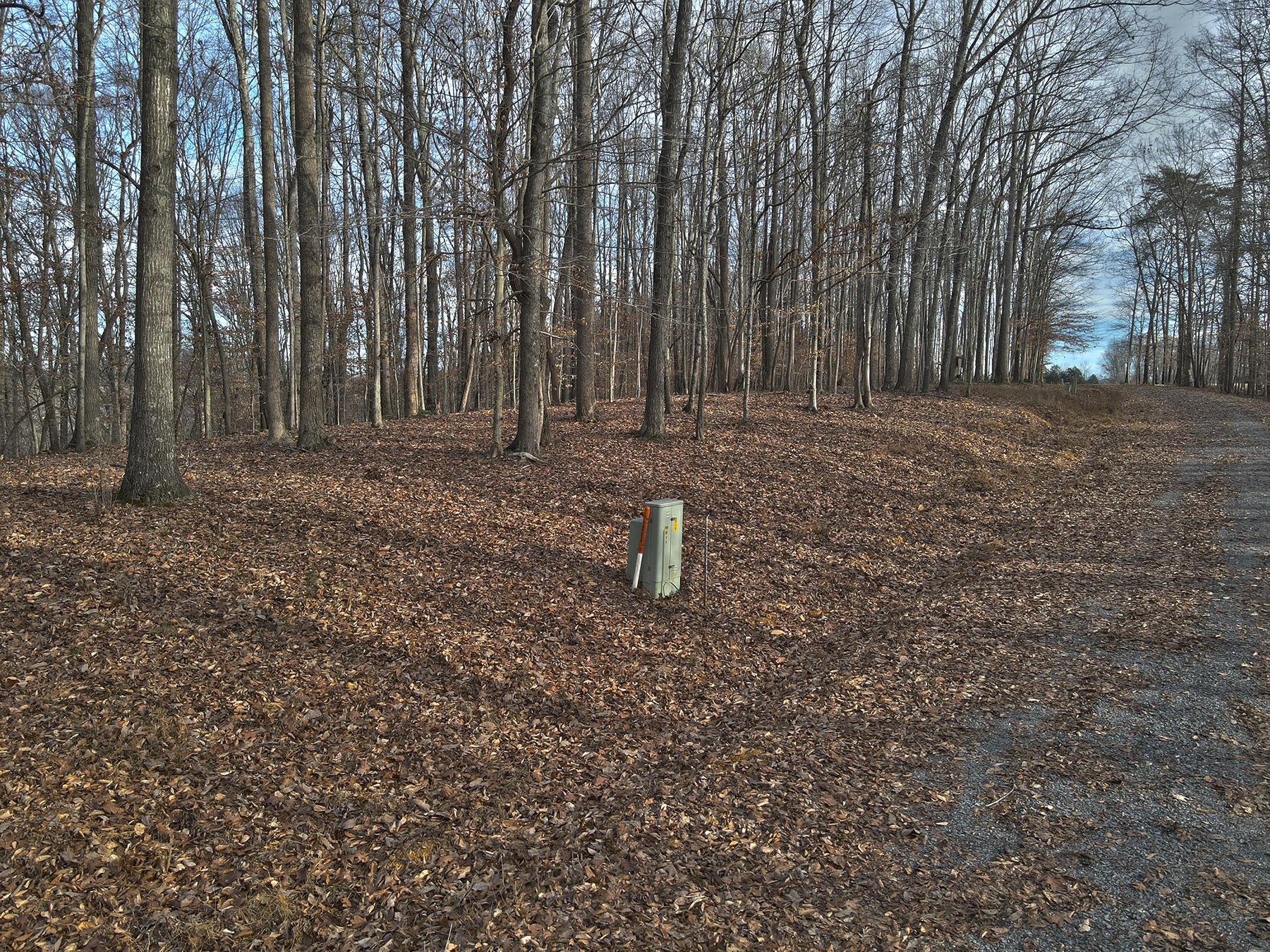 Image 1: Lakeridge_Est.039
