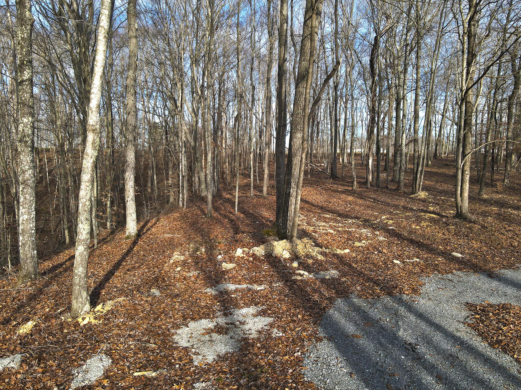 Image 3: Lakeridge_Est.064