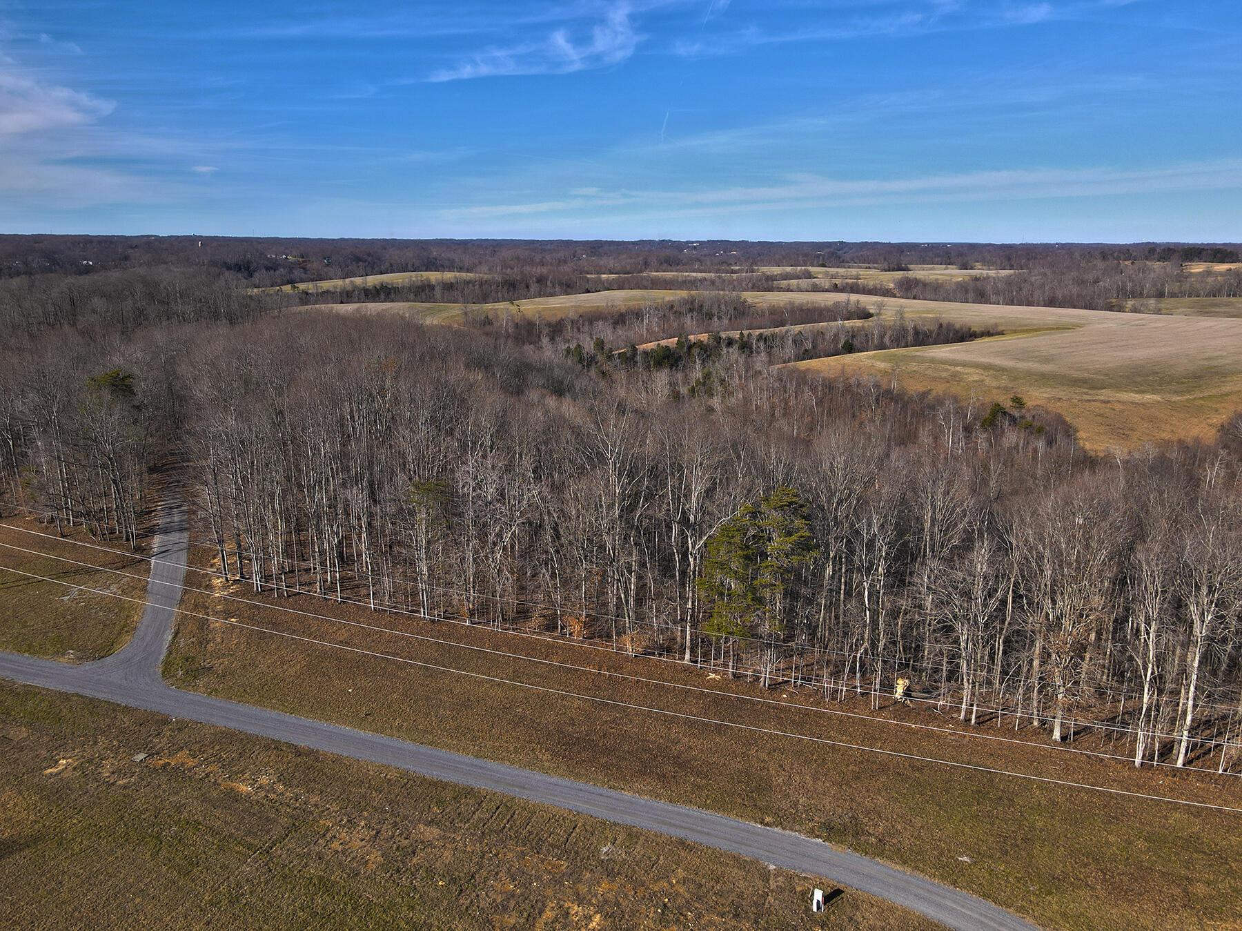 Image 2: Lakeridge_Est.099
