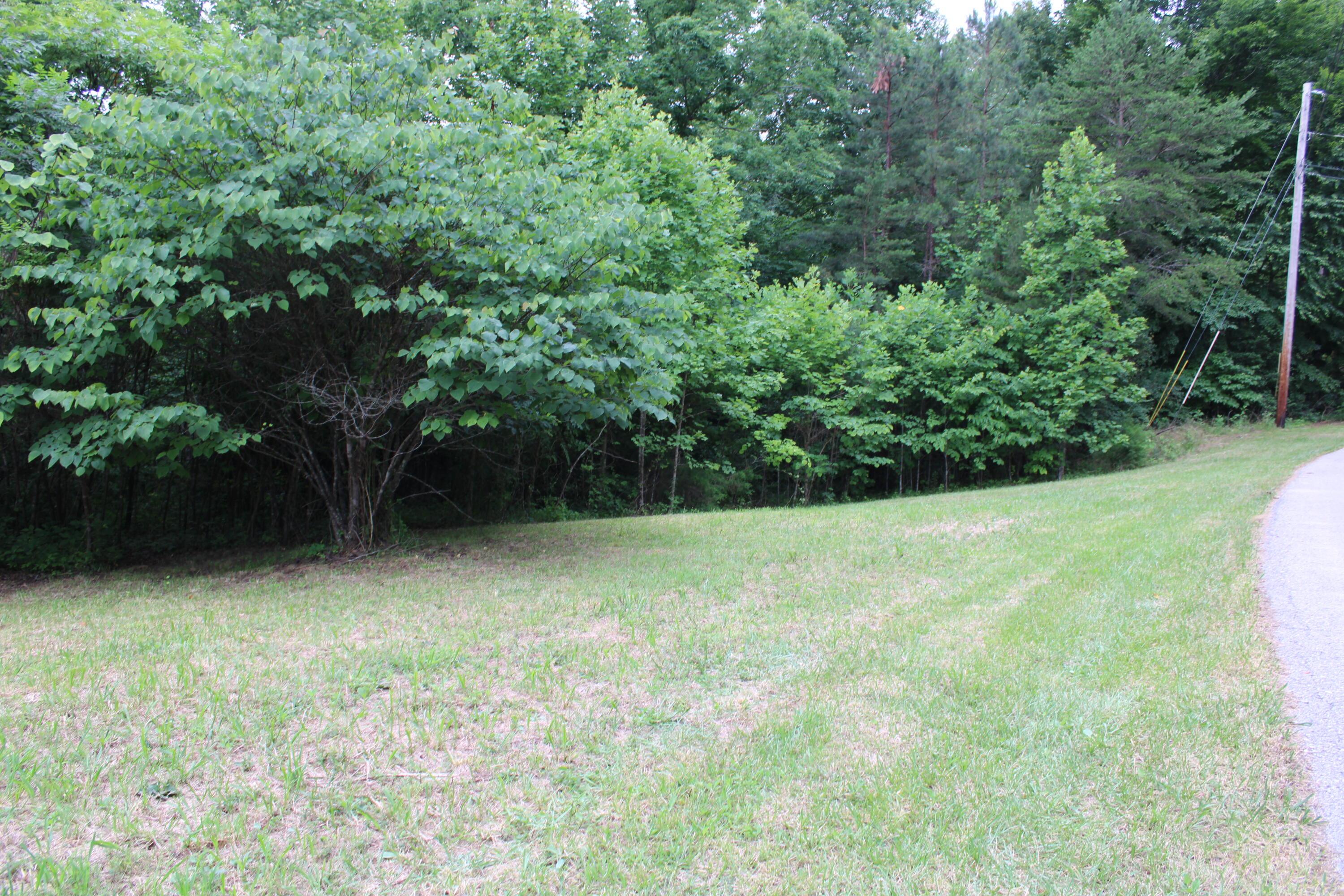 Image 3: IMG_3214 - Copy