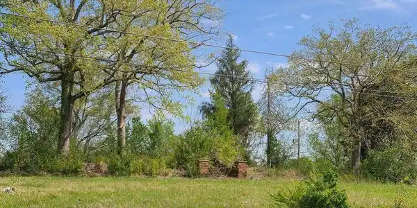 4777 W Hwy 80