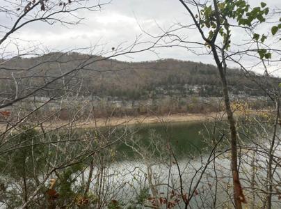 Tract 14 Buck Tail Drive