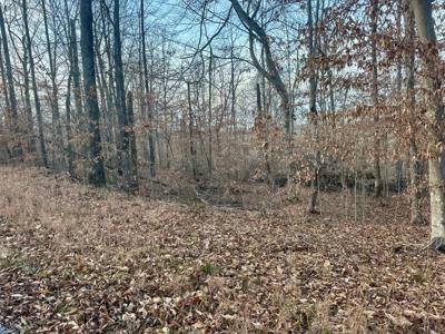 Tract 10 Campbell Road