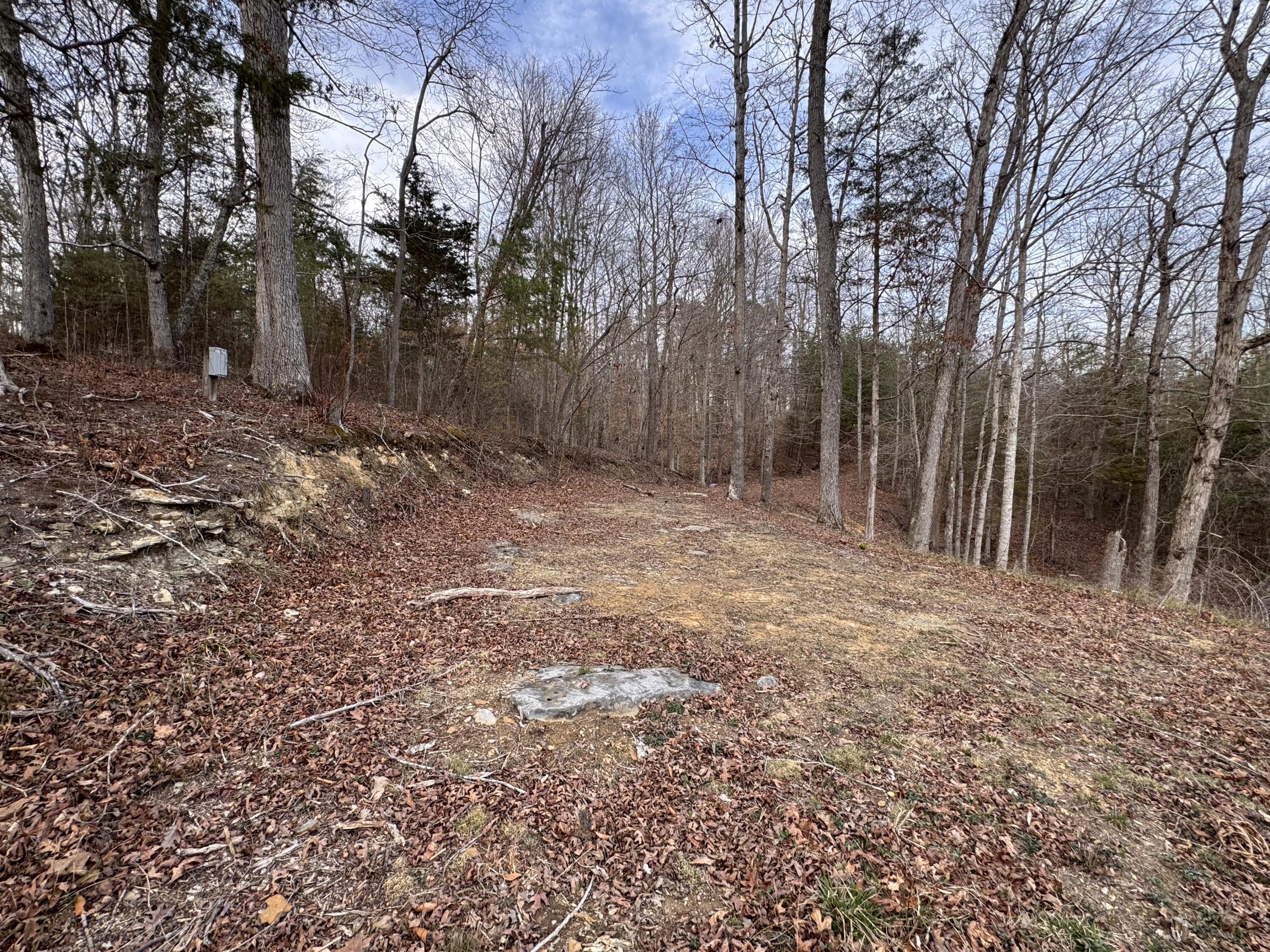 Image 3: IMG_0591