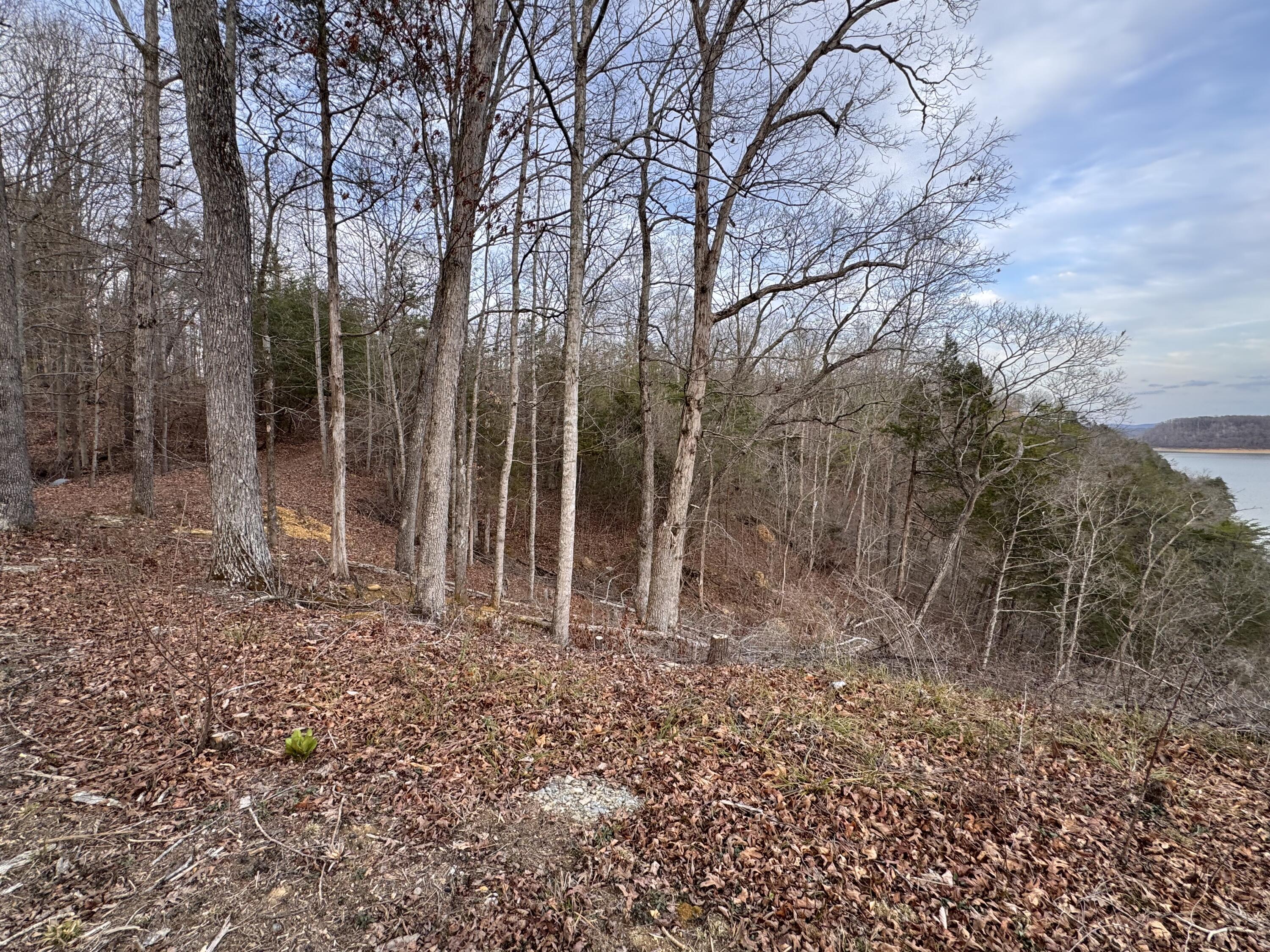 Image 4: IMG_0592