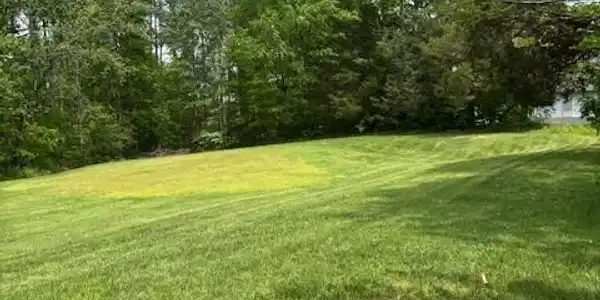 3 Nelson Mill Road