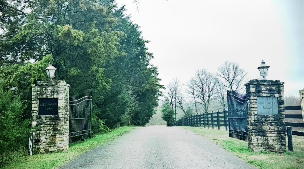 Image 1: View recent photos