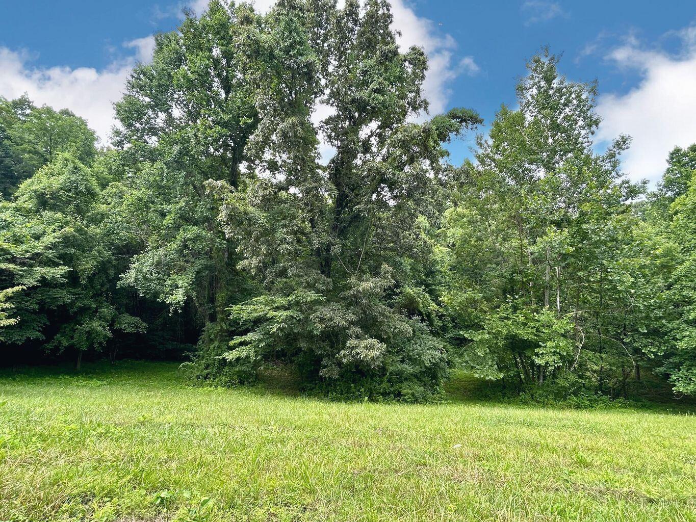 Image 2: 700 beechw00d