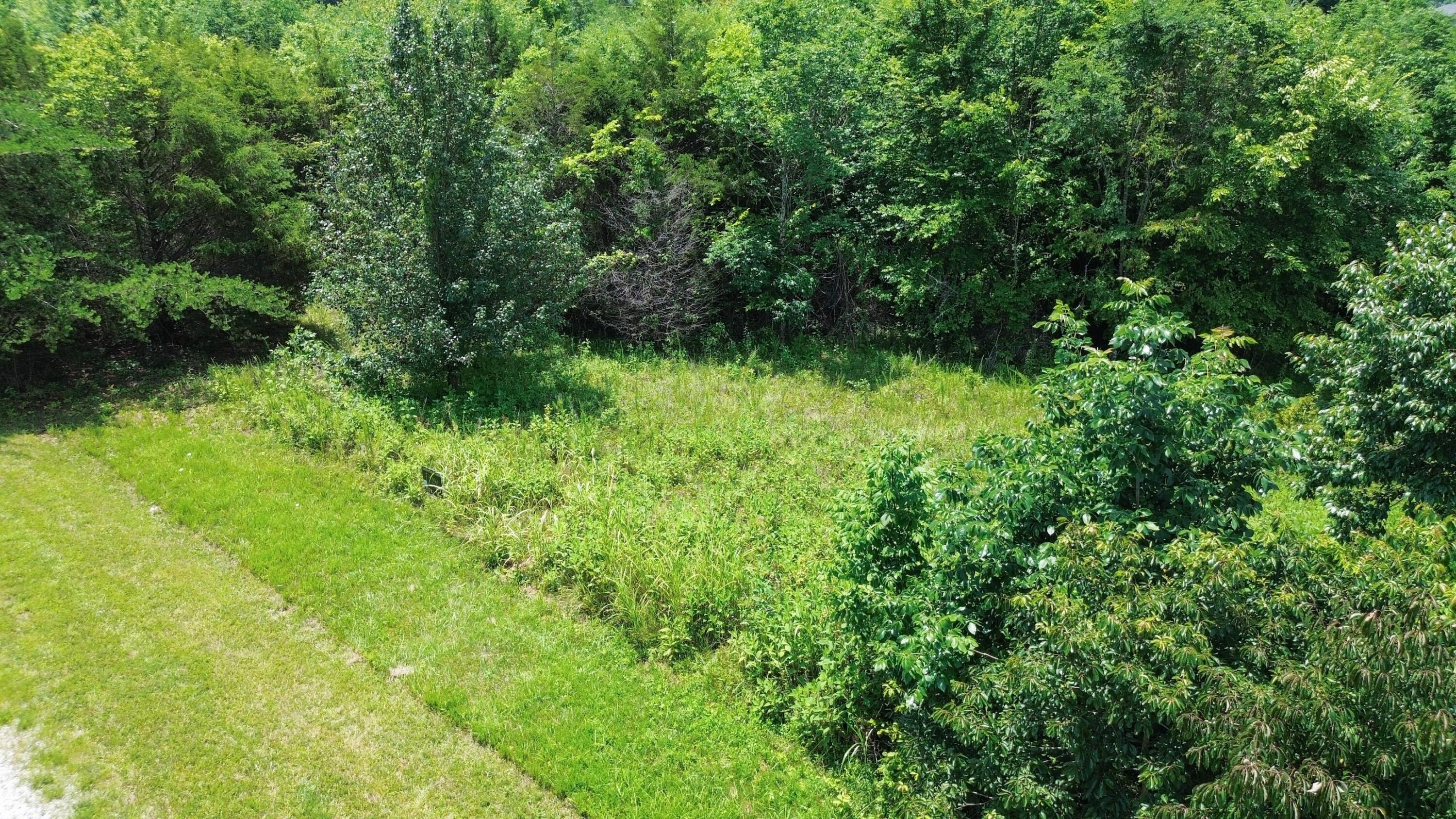 Image 4: DJI_0395