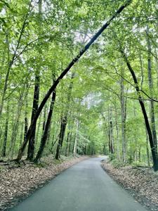 49 Turkey Trace