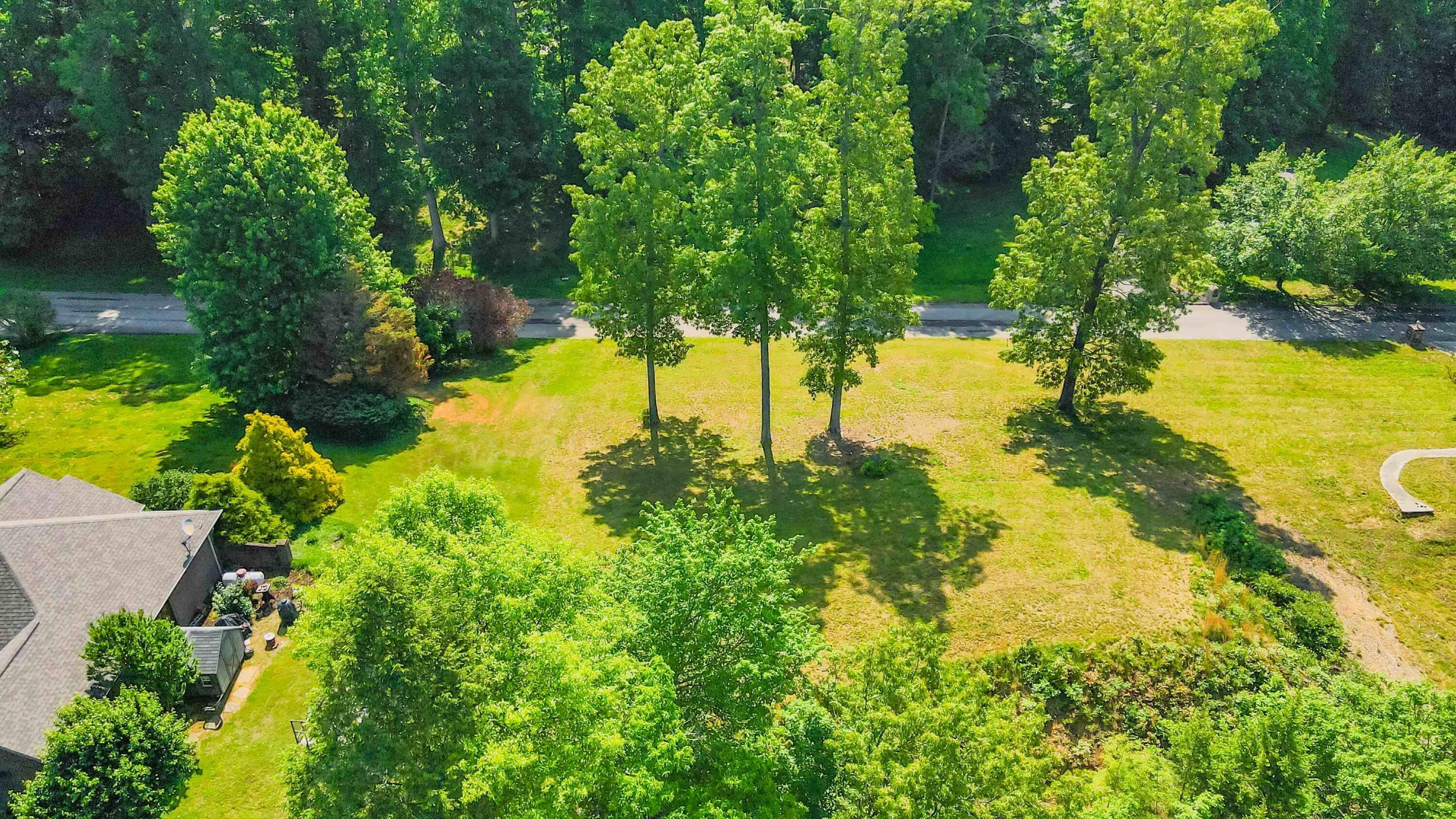 Image 4: DJI_044722