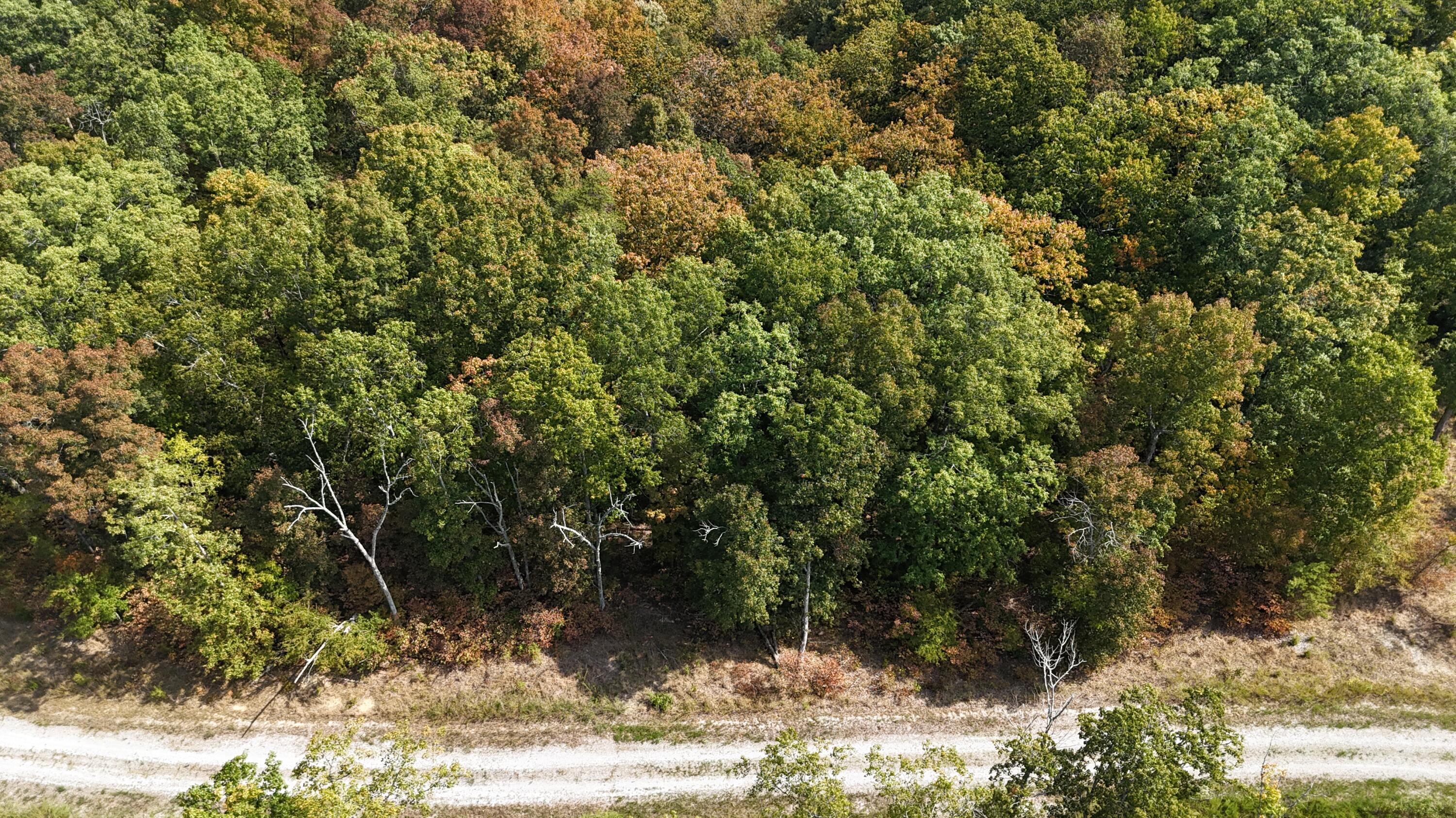 Image 2: DJI_20250902113644_0001_D