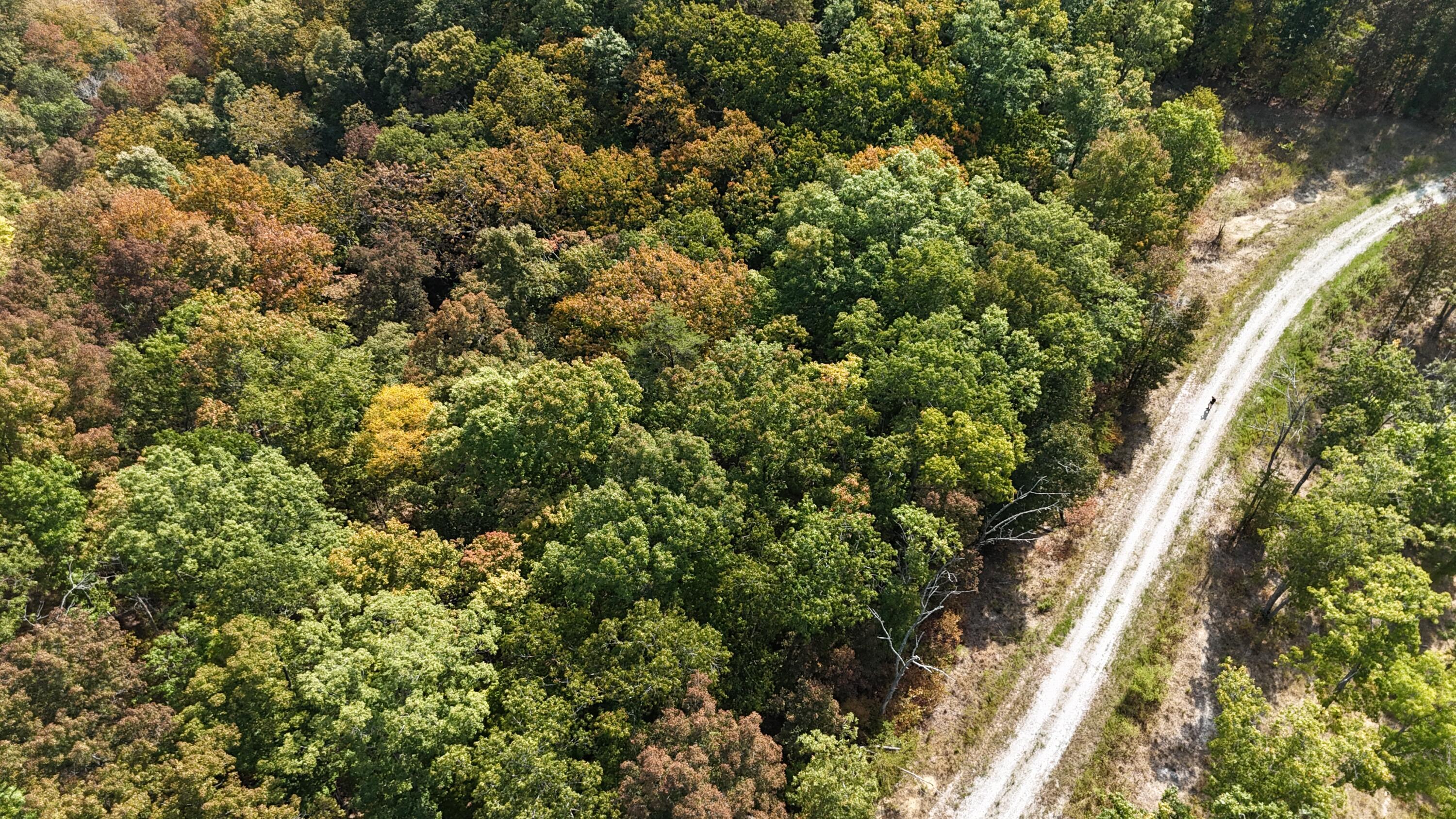 Image 3: DJI_20250902113715_0002_D