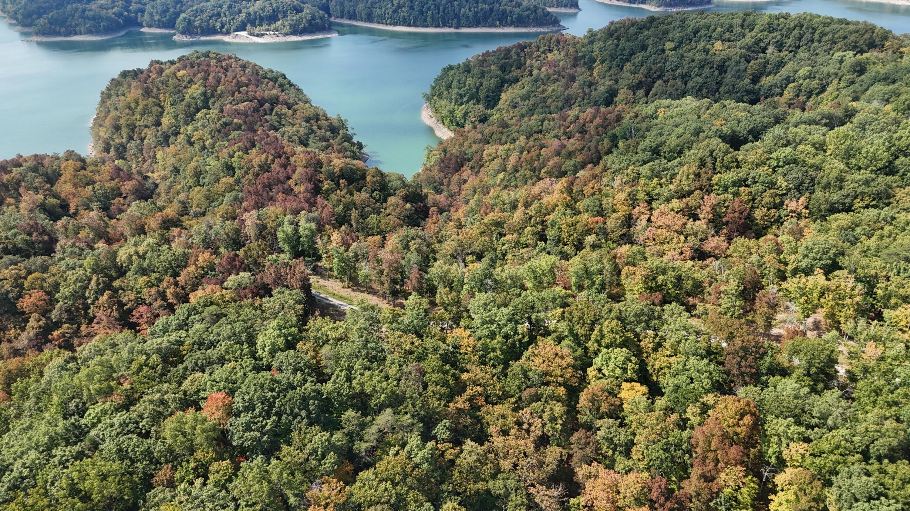 Image 4: DJI_20250902113808_0003_D