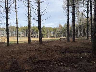 Lot 95 Lakeshore Drive