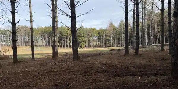 Lot 95 Lakeshore Drive