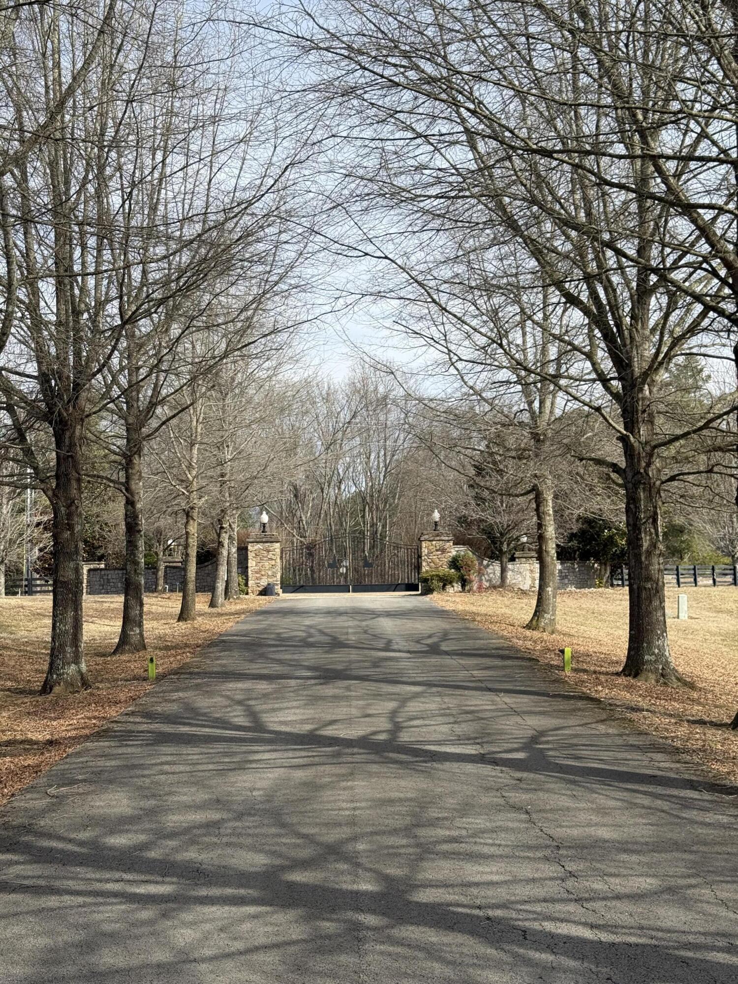 Image 2: IMG_4985