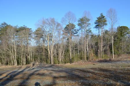 1762 Black Diamond Road