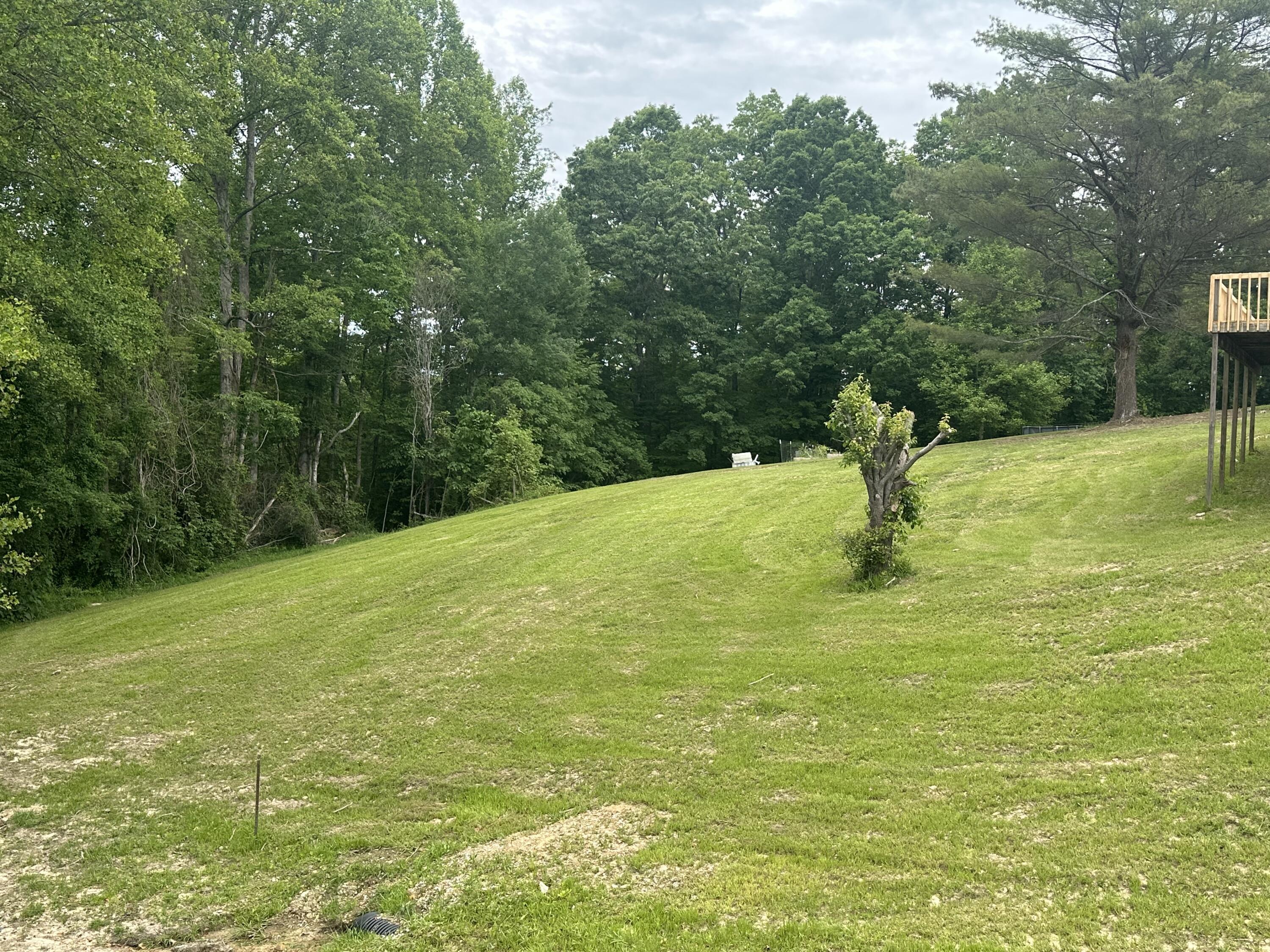 Image 3: IMG_0557