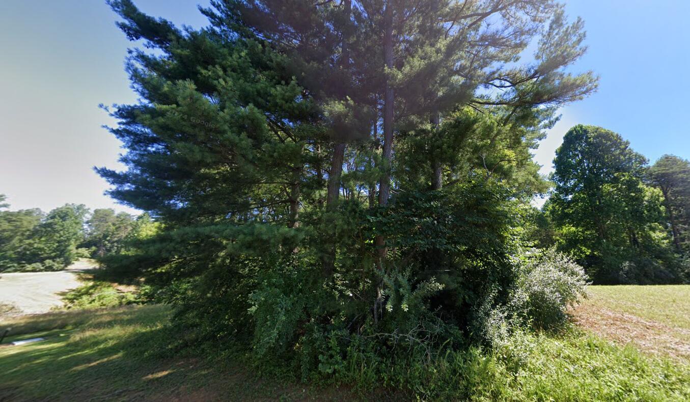 Image 3: Lot 96 Captains Point 1