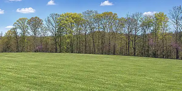 Lot 7 Laurel Wood Drive