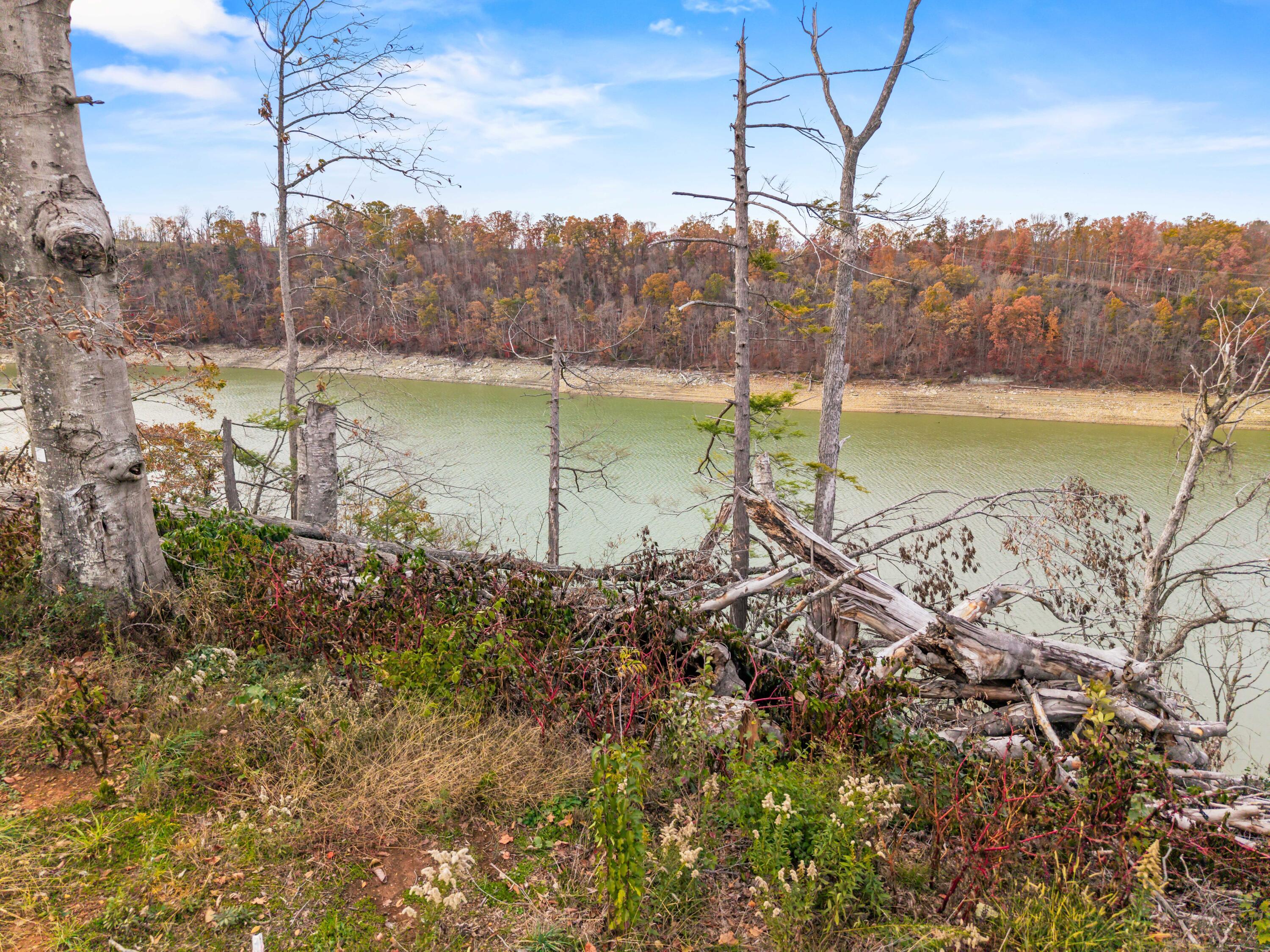 Image 3: Grove Lot Photos-12