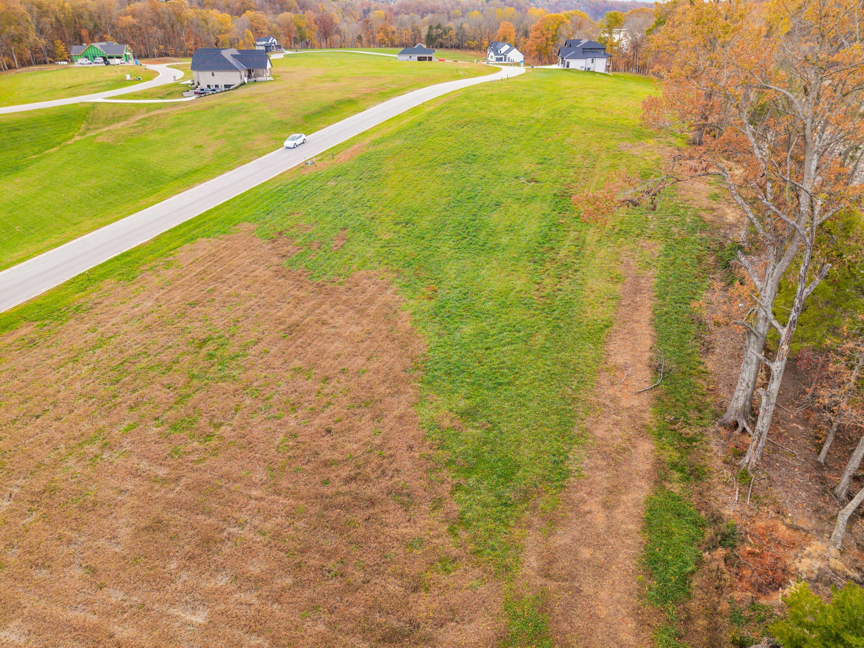 Image 4: Grove Lot Photos-05