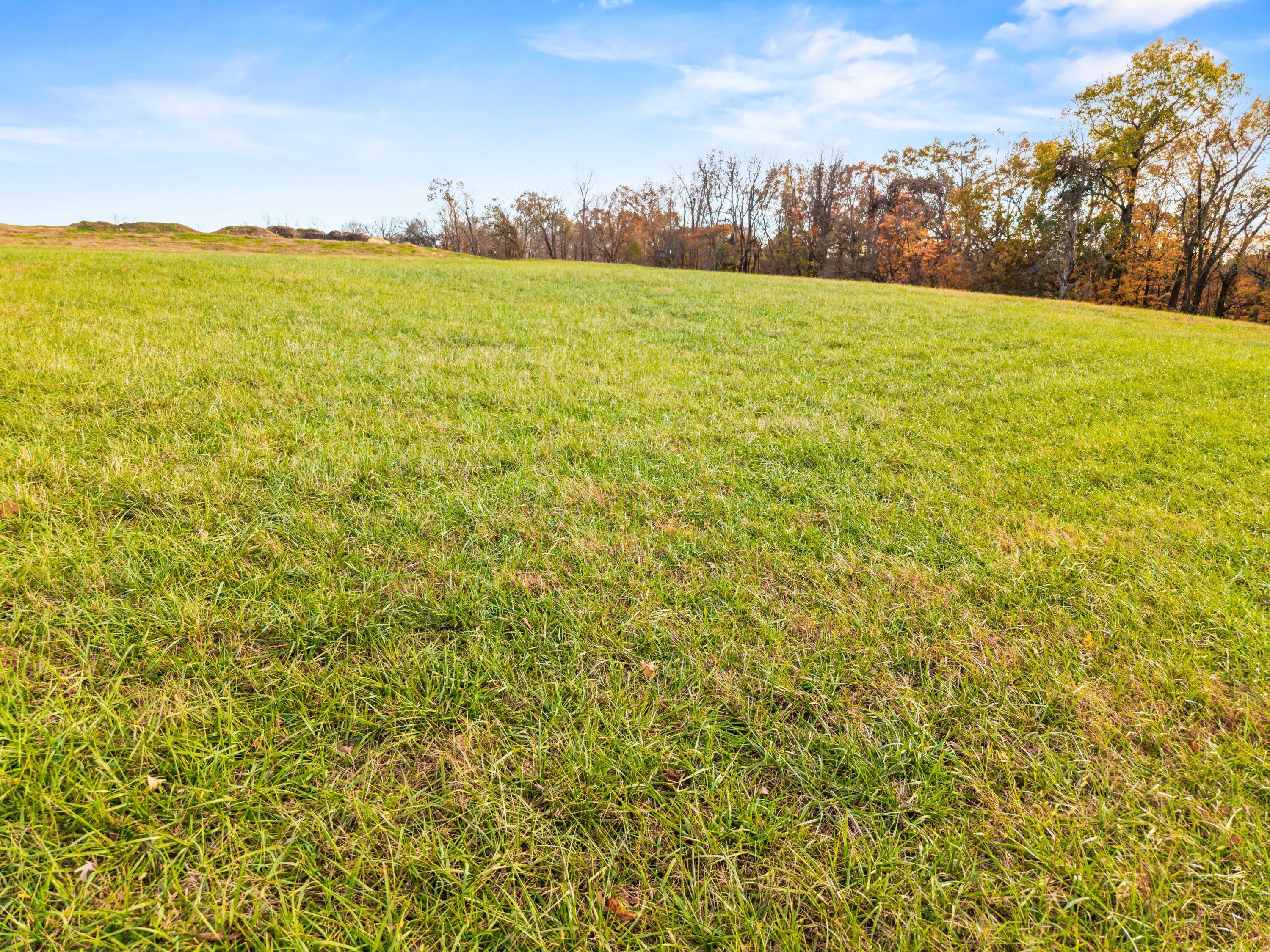 Image 2: Grove Lot Photos-33