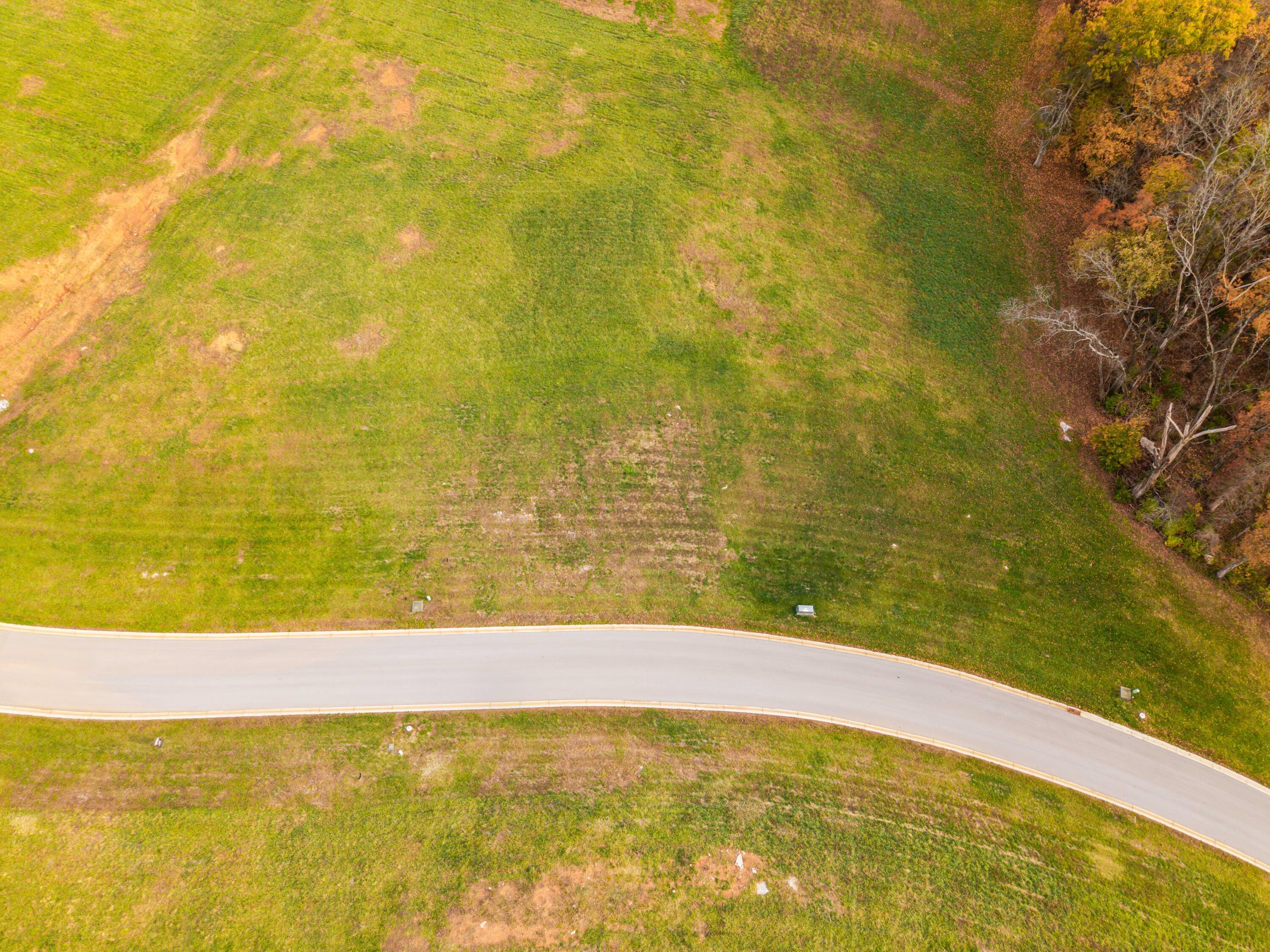 Image 4: Grove Lot Photos-20
