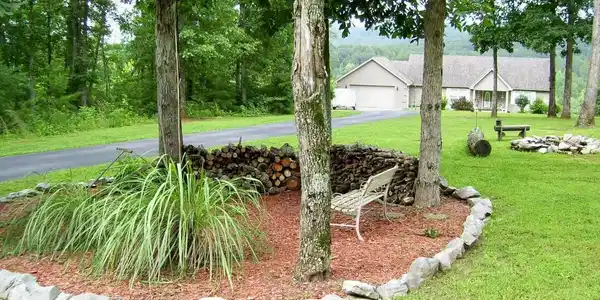 Image 4: Front yard