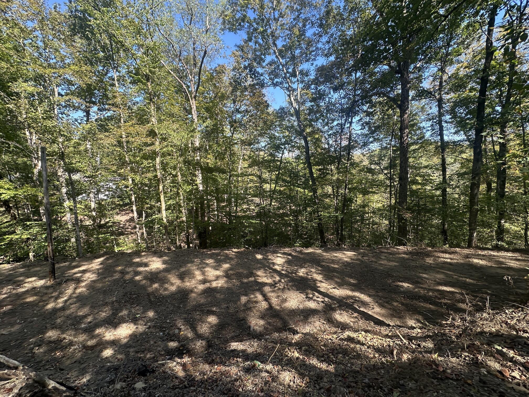 Image 2: IMG_6232