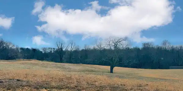 75 Morning Mist Drive