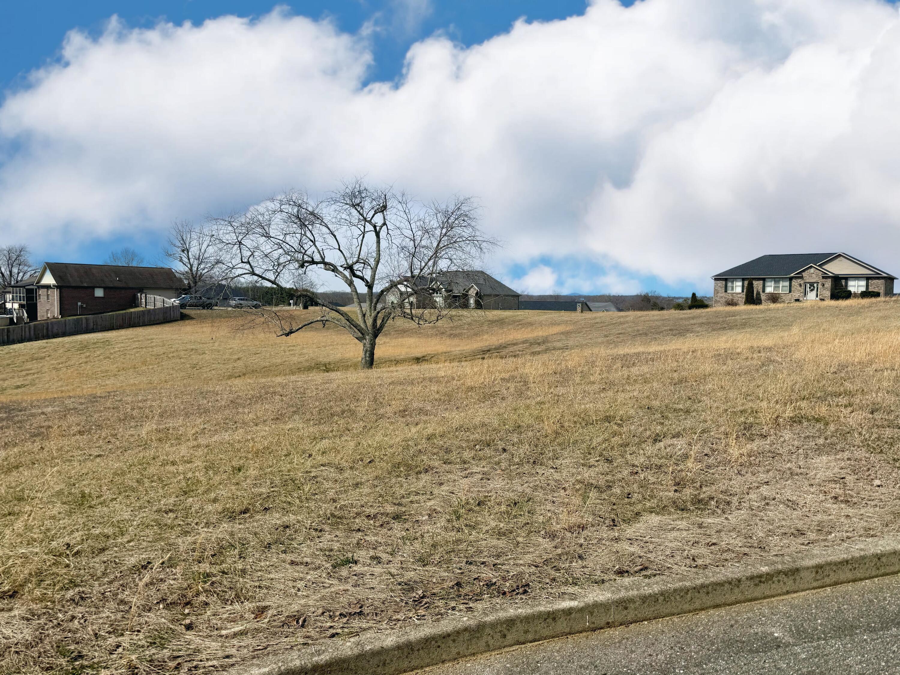 Image 3: IMG_7810