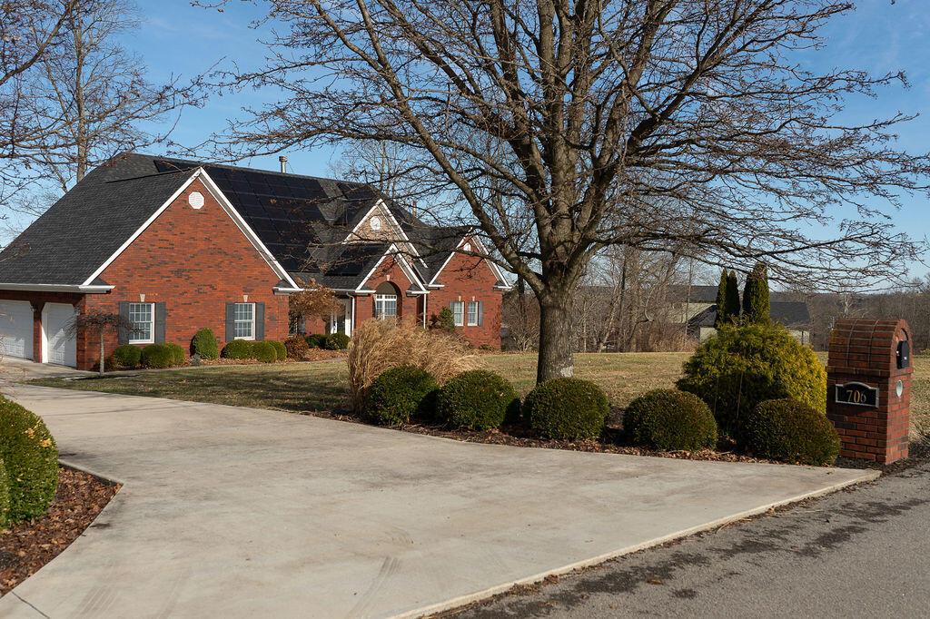 Image 4: 003_20260220