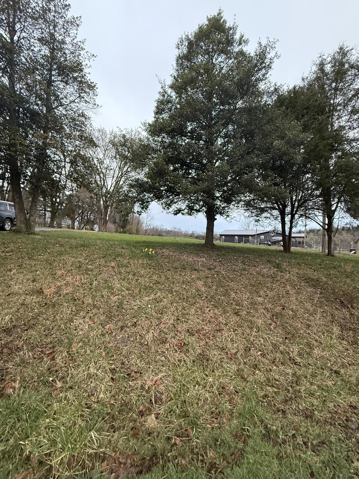 Image 2: IMG_0051