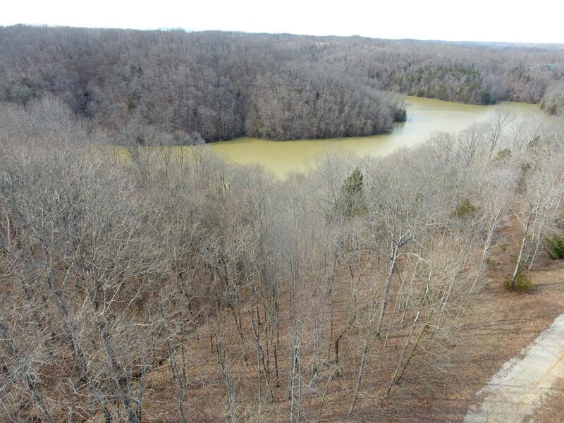Image 3: DJI_000101