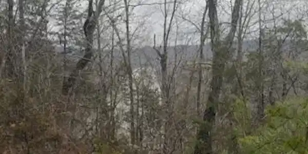 8.7 Wolf Gap Road