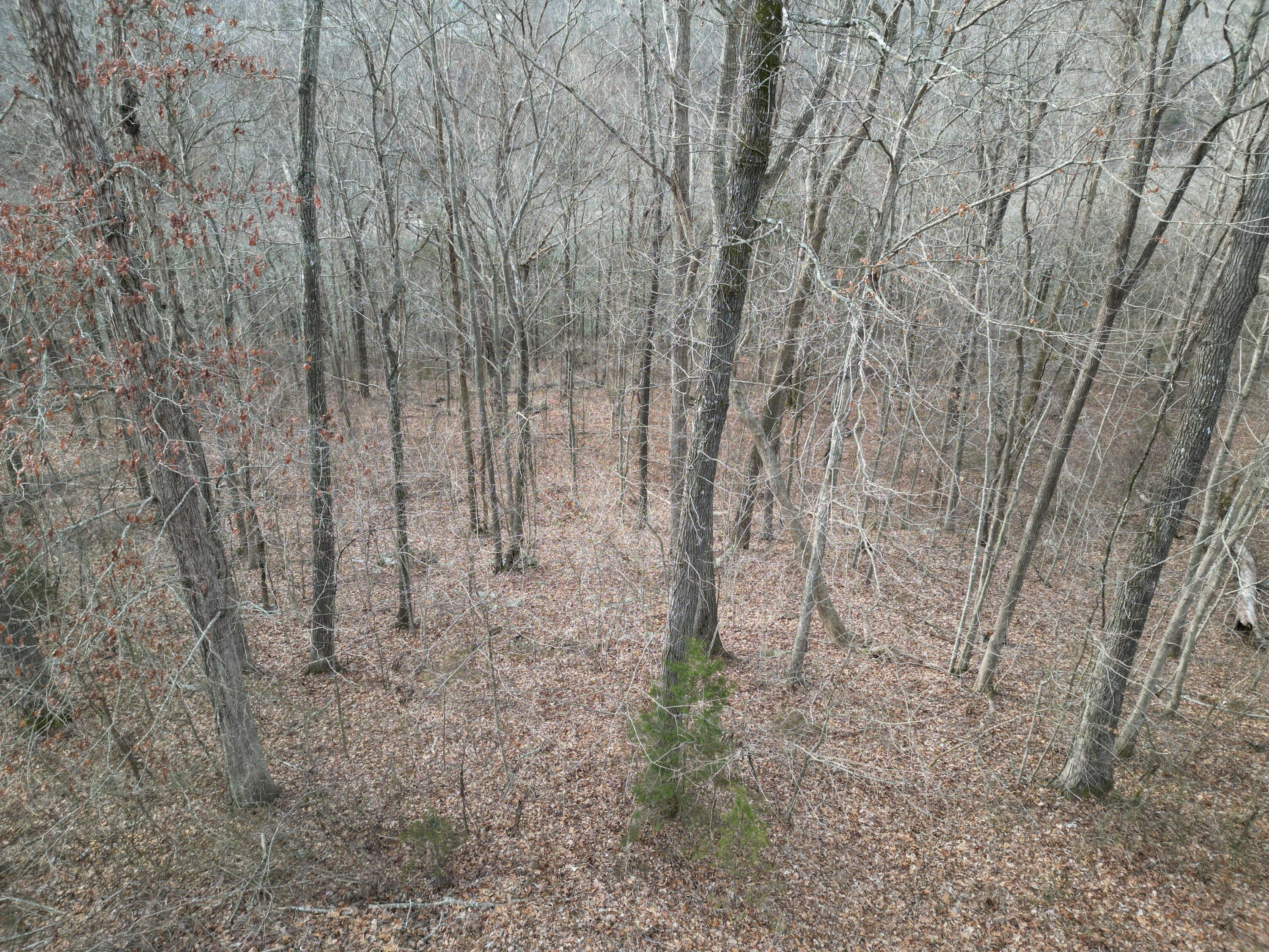 Image 3: Photo 3 Colonel