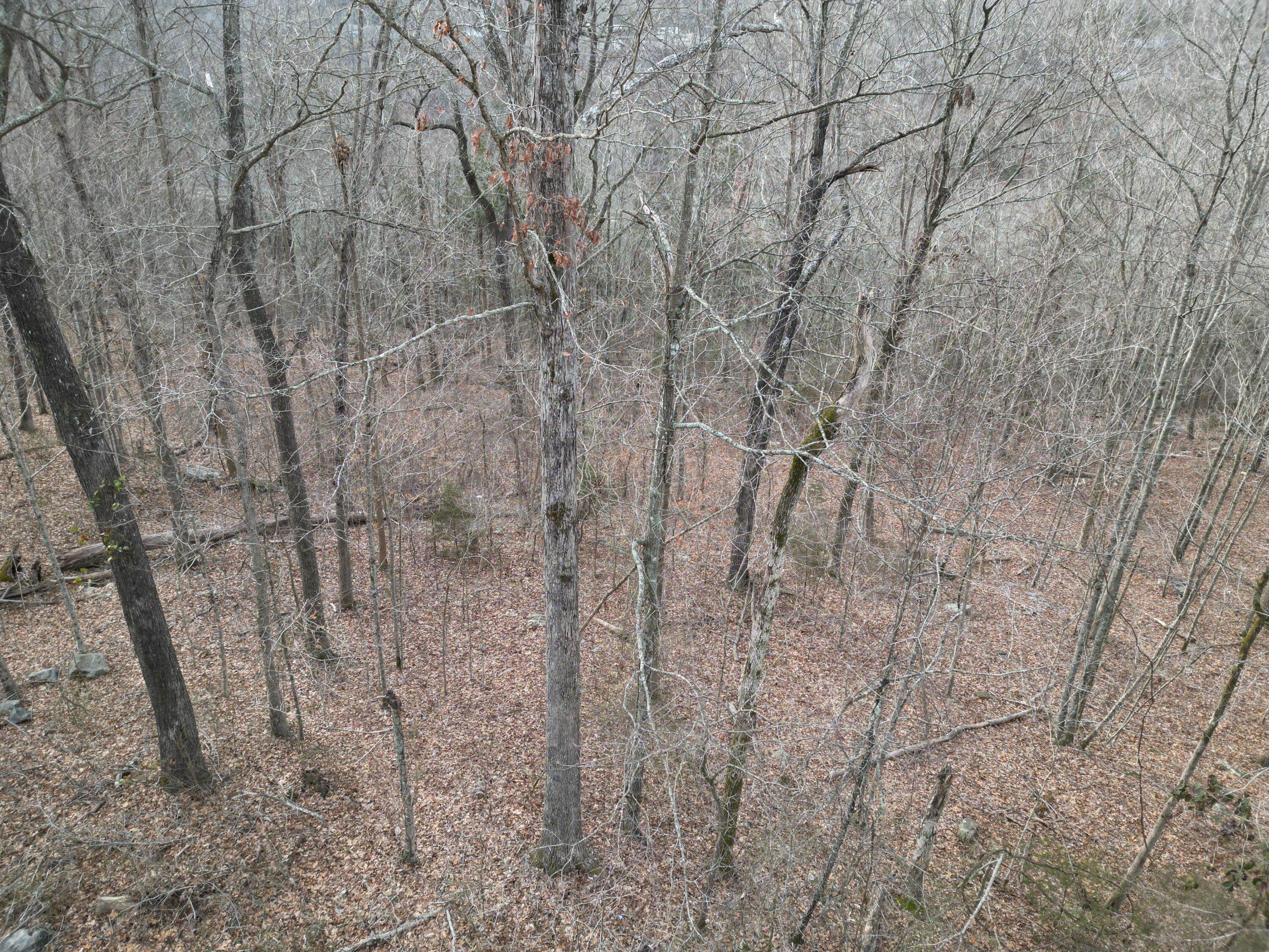 Image 4: Photo 6 Colonel