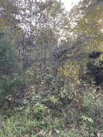 222 Shiloh Road
