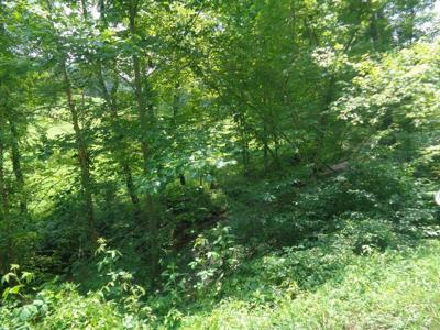 Lot 36 Cliffs Edge Road