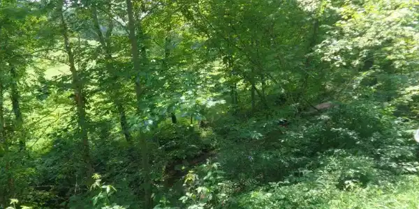 Lot 36 Cliffs Edge Road