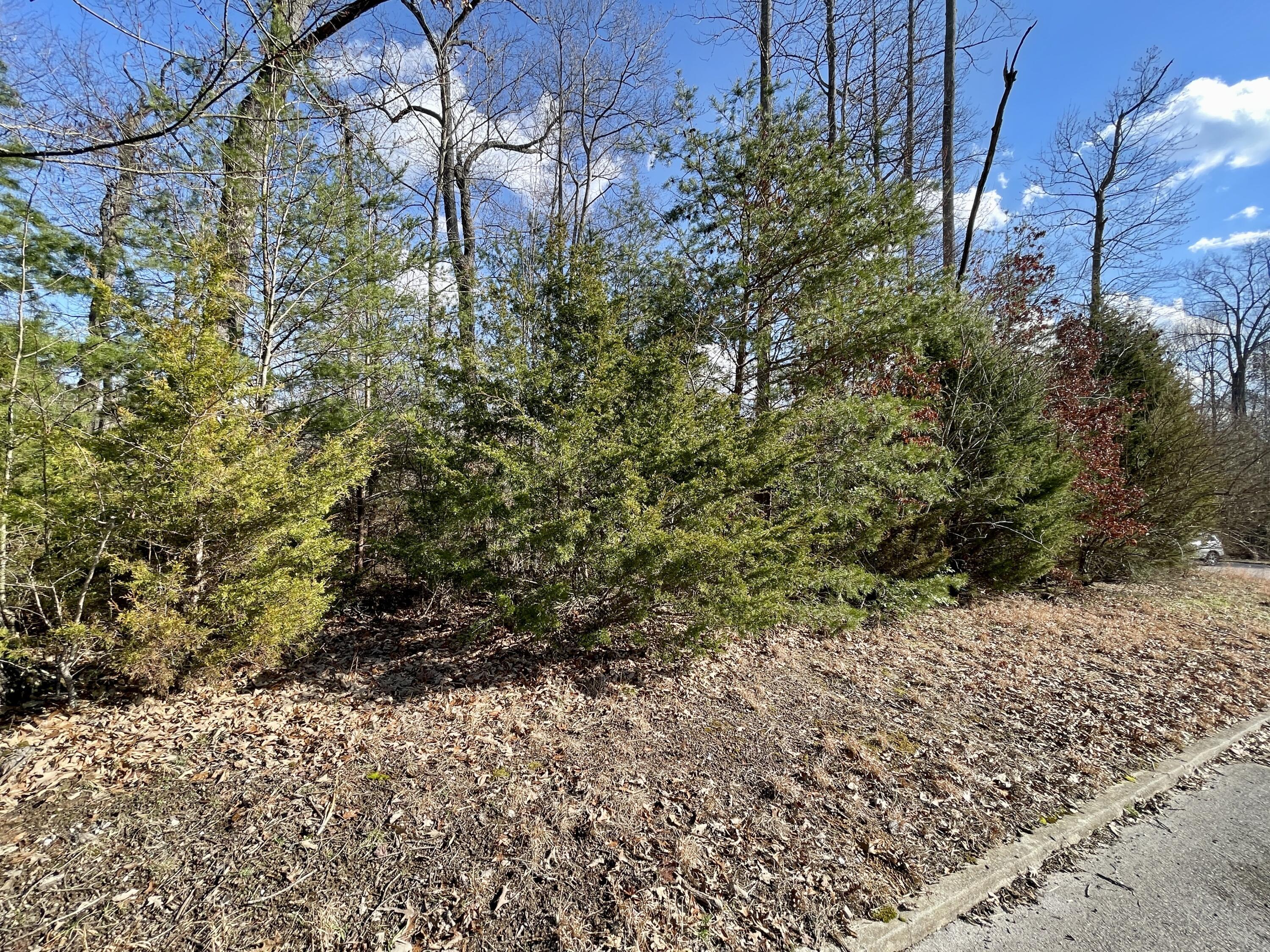 Image 2: 745 Water Cliff Dr2