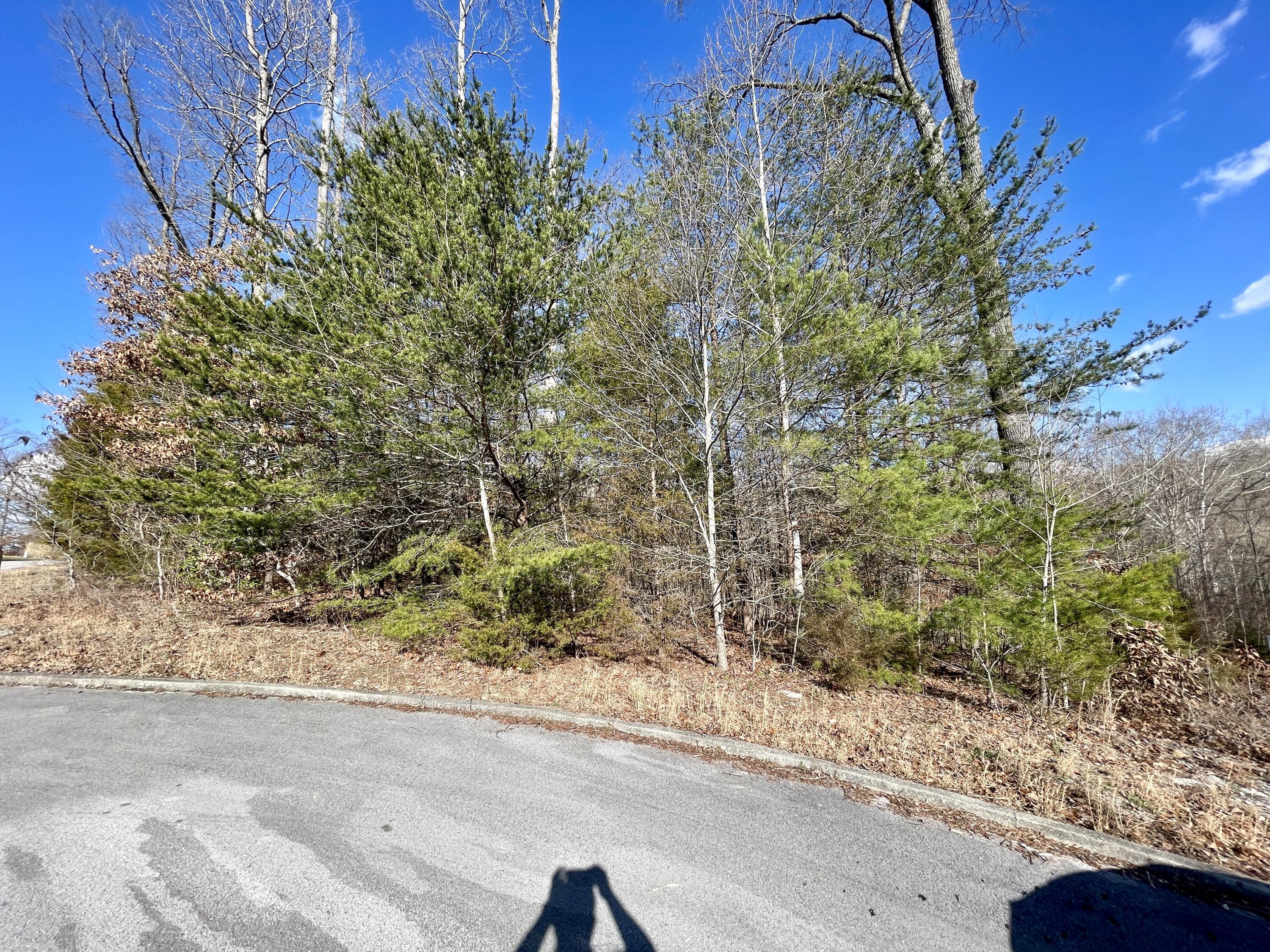 Image 3: 745 Water Cliff Dr.