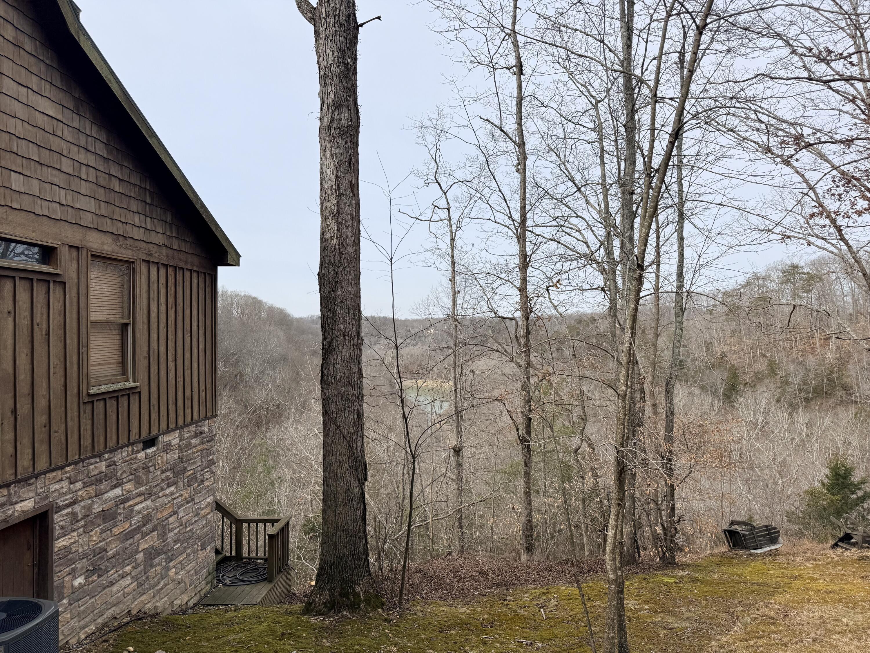 Image 3: IMG_5933